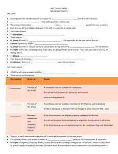 Cell Division: Mitosis & Meiosis Notes