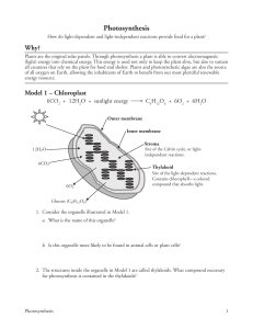 3. Photosynthesis-S