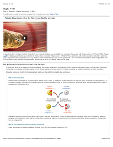 Cellular Respiration: Glycolysis & Citric Acid Cycle HW
