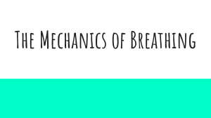 Mechanics of Breathing Lesson 
