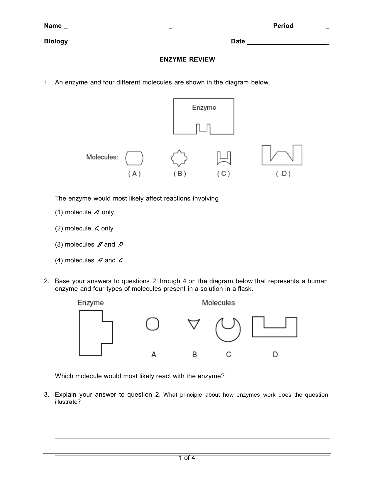 22-e Enzyme Review worksheet With Regard To Enzyme Review Worksheet Answers