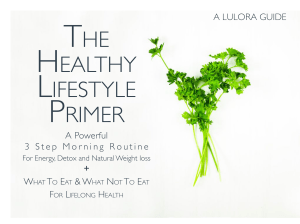 The+Healthy+Lifestyle+Primer