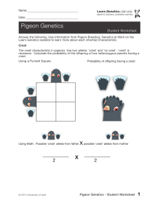 PigeonGeneticsWorksheet