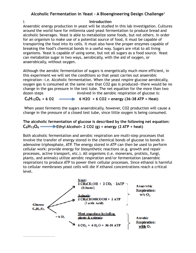 research papers on alcohol fermentation