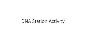 DNA Station Activity