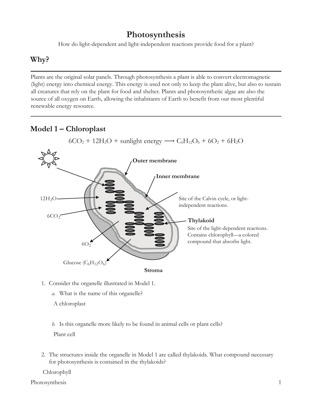 Photosynthesis Pogil Answers