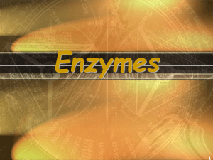 enzyme ppt (1)