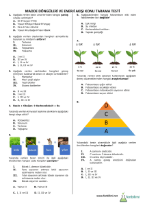 besin-zinciri-enerji-akisi-unite-tarama-testi-1