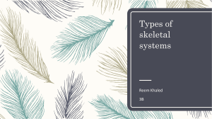 types of skeletal systems