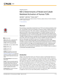 MD-2 determinants of Nickel and Cobalt activation of human TLR4