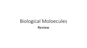 Biological Molecules a few choice reminders