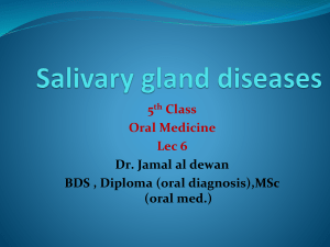 salivary gland2