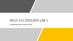 WILD 115 WEEK 1 CLADOGRAMS AND CLASSIFICATION LECTURE