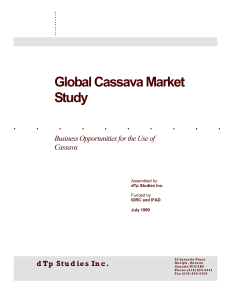 global cassava market study