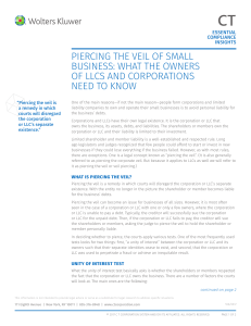 Piercing-the-Veil-of-Small-Business