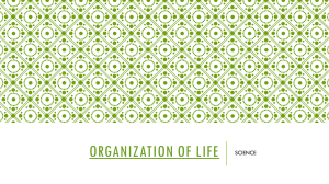 1. Organization of Life