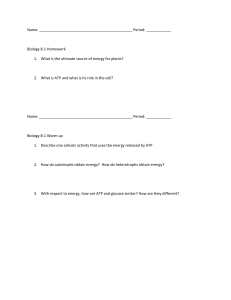 Chapter 8-1 8-3  Photosynthesis Homeworks and warm ups