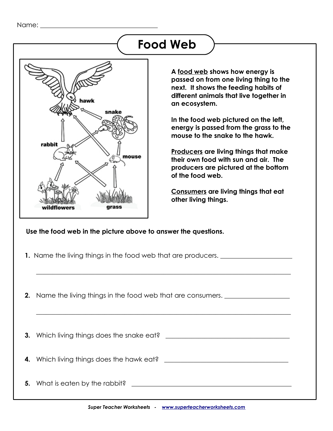 Food Web Worksheet Answer Key