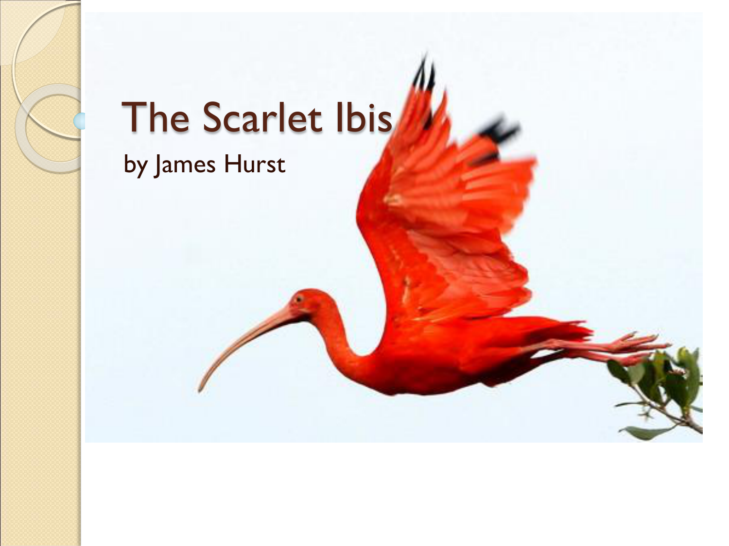 scarlet ibis summary of the book