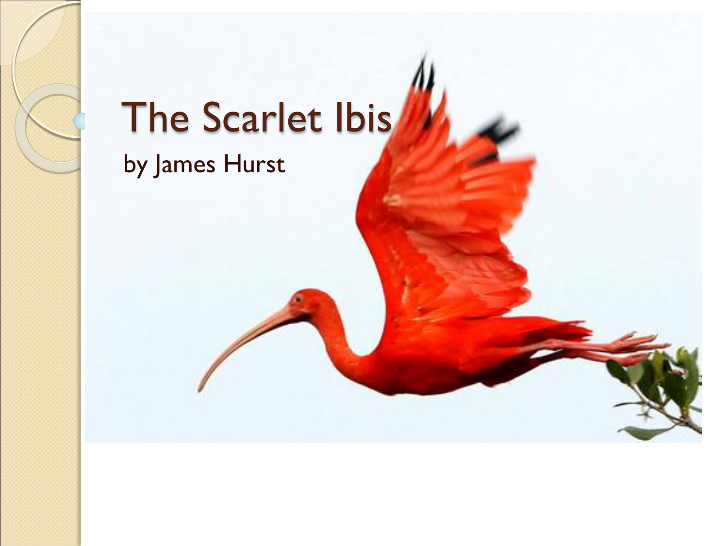 scarlet ibis essays on symbolism