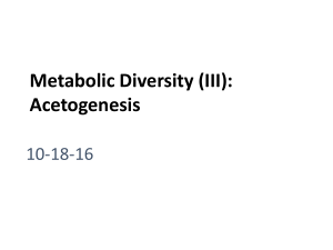 Metabolic Diversity III Acetogenesis