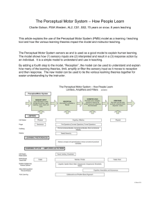 Skiing - Perceptual Motor System