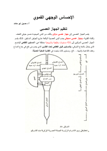 الاحساس الوجهي الفموي