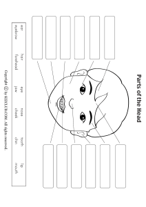 parts of head