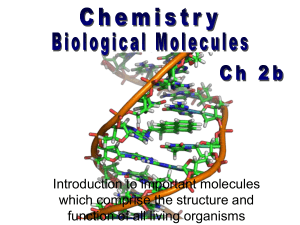 002b Biological Molecules