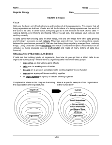 Regents Biology: Cells Review Worksheet