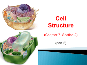 CellStructureandorganellespart2.pptx (1)