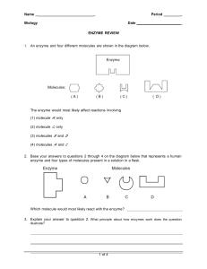 2-e Enzyme Review worksheet (1)