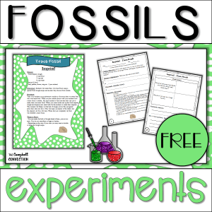 FossilsExperimentsFreebie