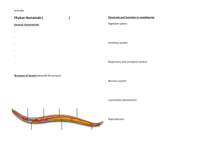 Nematoda: Roundworm Structure and Function