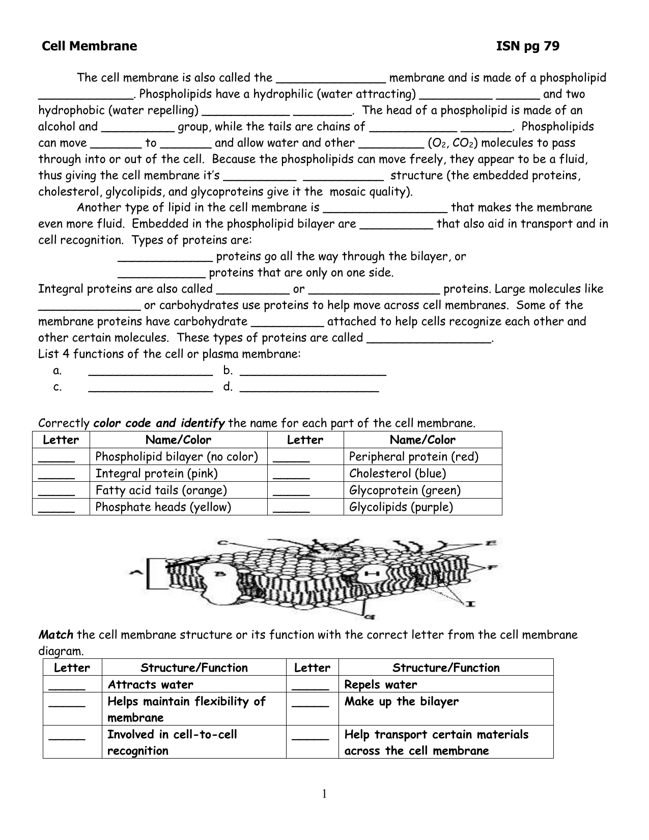 Cell Membrane ISN22-22 In Cell Membrane Coloring Worksheet Answers