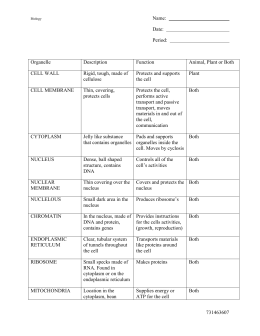 Cell Organelles Student Handout