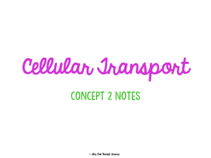 Concept 2 Notes - Cell Transport