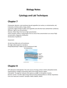 Biology Notes - Cytology