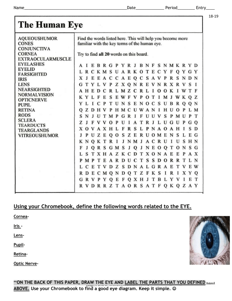 Human Eye Word Search And Vocab