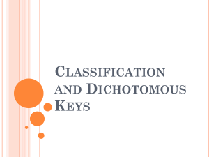Classification and Dichotmous Keys Notes