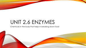 Unit 2.6 Enzymes