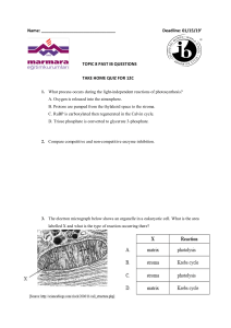 Topic 8 Past IB Questions Take Home Quiz