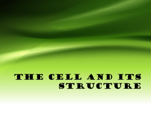 Cell and Cell theory