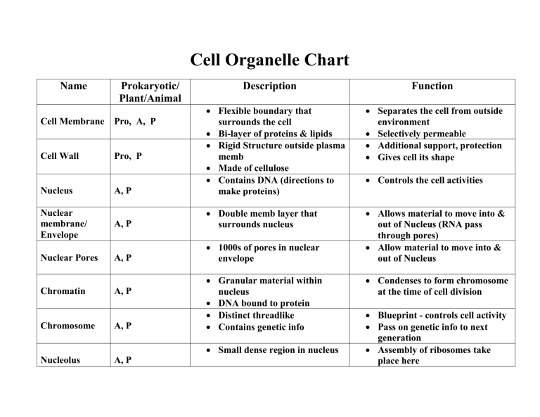 cell-organelle-chart-key-2011