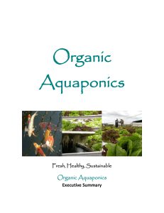 Generic Organic Aquaponics Business Plan 102111