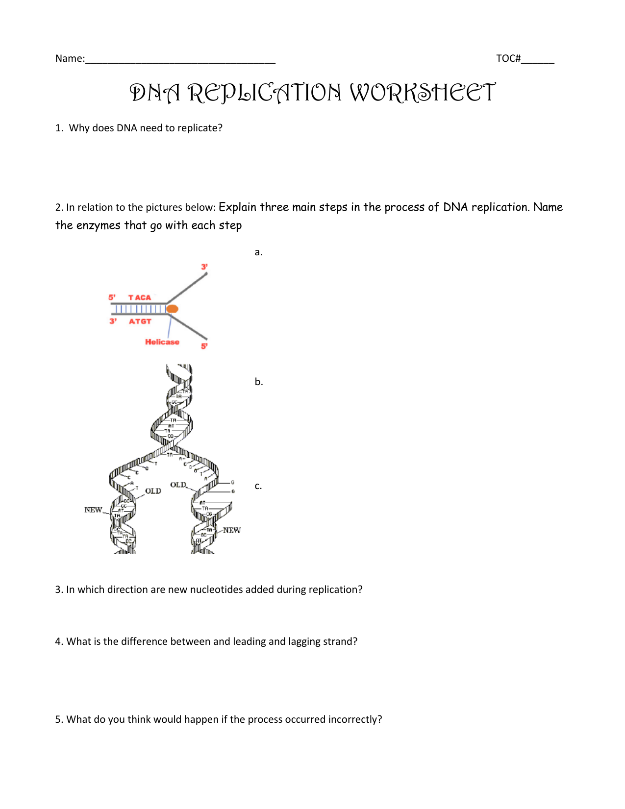 Dna Replication Worksheet and coloring Within Dna Replication Coloring Worksheet