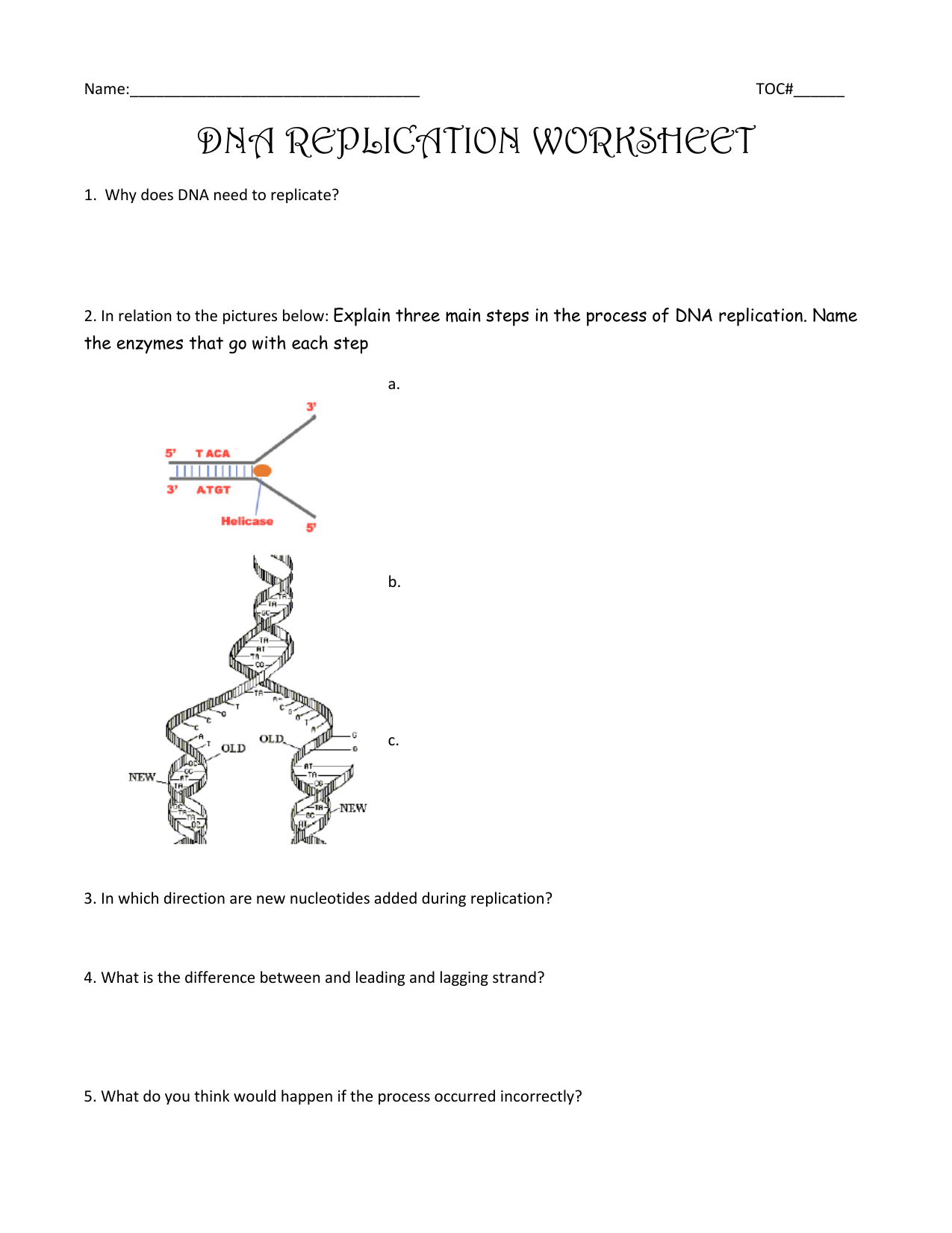 Dna Replication Worksheet and coloring Pertaining To Dna Replication Coloring Worksheet