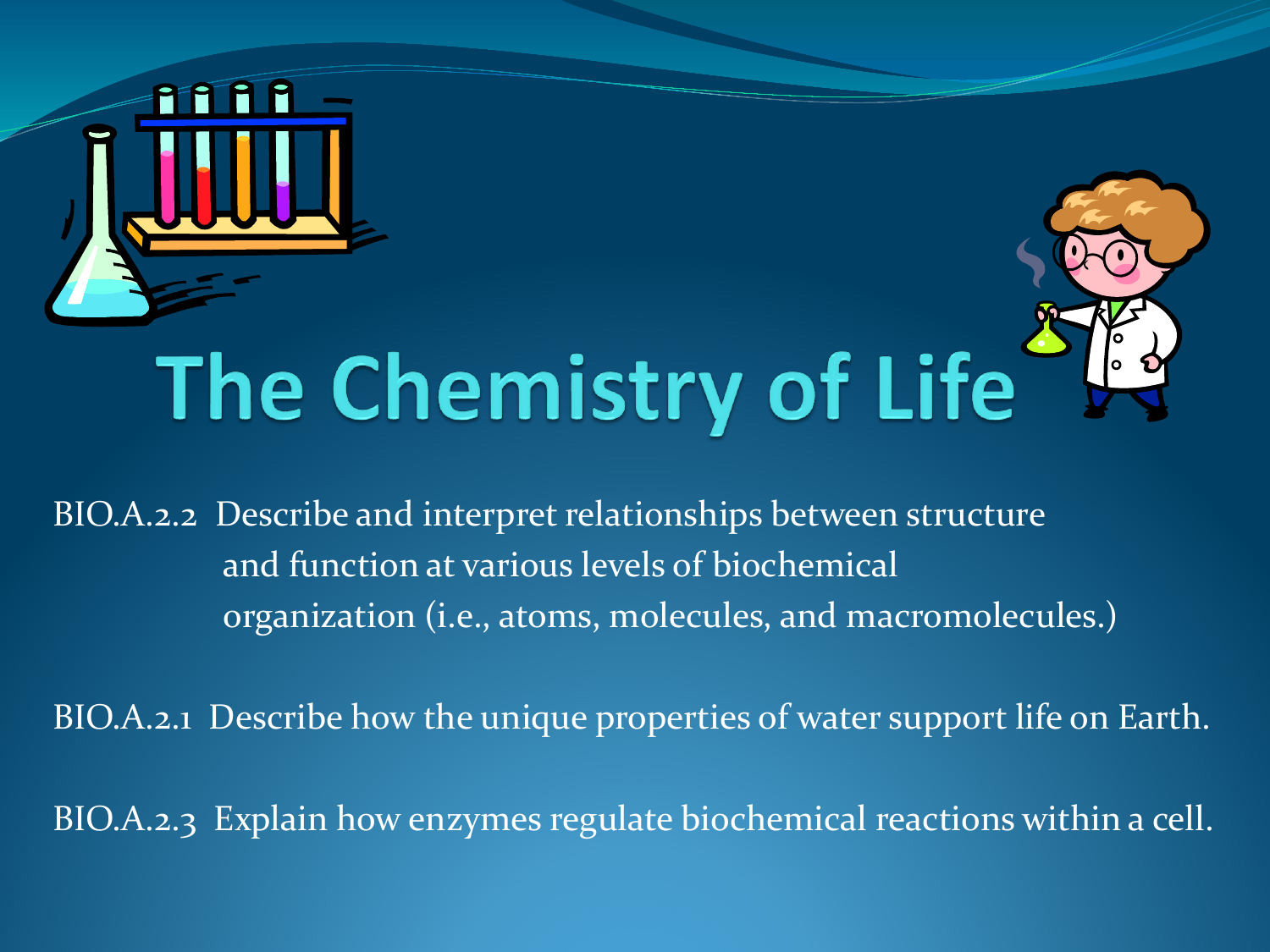 chemistry of life homework