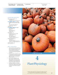189179940-4-Plant-Physiology