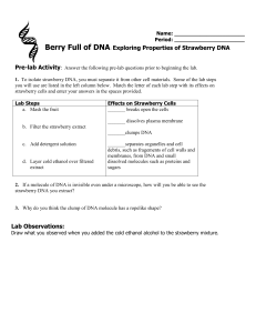 Lab- Berry Full of DNA-student sheet